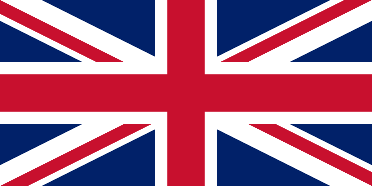 uae flag